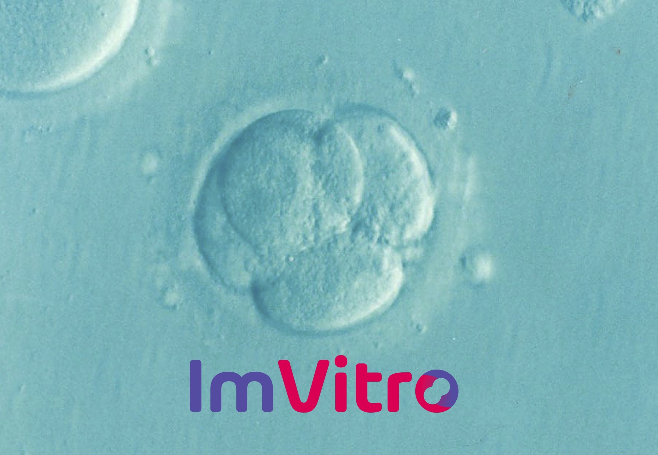 Event #2: AI & the future of in vitro fertilization